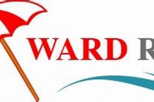 Ward Realty: Surf City Homes &amp; Beyond - Local Experts! | Learn to Surf & Skate: A Beginner's Step-by-Step Guide