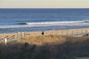 Spring Lake NJ Surf Report: [Conditions + Forecast] | Learn to Surf & Skate: A Beginner's Step-by-Step Guide