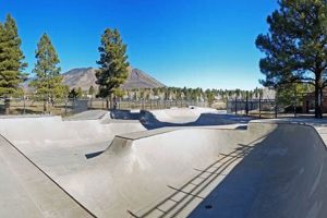 Flagstaff Skate Parks: Your Guide to Local Hot Spots! | Learn to Surf & Skate: A Beginner's Step-by-Step Guide