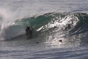 Your Guide: La Jolla Surf Report - Waves & Weather Learn to Surf & Skate: A Beginner's Step-by-Step Guide Your Guide: La Jolla Surf Report - Waves & Weather | Learn to Surf & Skate: A Beginner's Step-by-Step Guide