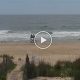 Watch Surf City Cam Live: Beach Views & Conditions | Learn to Surf & Skate: A Beginner's Step-by-Step Guide