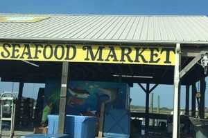 Your Guide: Surf City NC Fish Markets Near Me! | Learn to Surf & Skate: A Beginner's Step-by-Step Guide