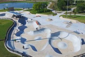 Best Skate Park Fun in Fort Worth, TX: [Your Park Name]! | Learn to Surf & Skate: A Beginner's Step-by-Step Guide