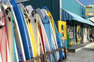 Cape Cod Surf Shops: Find Gear & Rentals + More! | Learn to Surf & Skate: A Beginner's Step-by-Step Guide