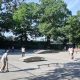 Your Guide: Forest Park Skate Park Fun & Tricks | Learn to Surf & Skate: A Beginner's Step-by-Step Guide