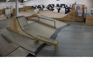 Local Tri Star Skate Shop: Gear & Community! Learn to Surf & Skate: A Beginner's Step-by-Step Guide Local Tri Star Skate Shop: Gear & Community! | Learn to Surf & Skate: A Beginner's Step-by-Step Guide