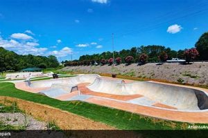 Visit Silver Comet Skate Park: Fun & Skills! Learn to Surf & Skate: A Beginner's Step-by-Step Guide Visit Silver Comet Skate Park: Fun & Skills! | Learn to Surf & Skate: A Beginner's Step-by-Step Guide