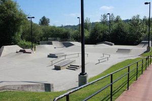 Find: Best Skate Parks in Washington State | Guide Learn to Surf & Skate: A Beginner's Step-by-Step Guide Find: Best Skate Parks in Washington State | Guide | Learn to Surf & Skate: A Beginner's Step-by-Step Guide