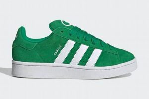 Best Green Adidas Skate Shoes: Style & Performance Learn to Surf & Skate: A Beginner's Step-by-Step Guide Best Green Adidas Skate Shoes: Style & Performance | Learn to Surf & Skate: A Beginner's Step-by-Step Guide
