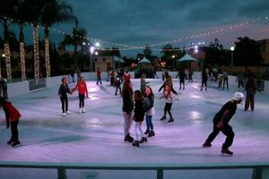 Glide into Fun: San Diego Ice Skate Adventures Learn to Surf & Skate: A Beginner's Step-by-Step Guide Glide into Fun: San Diego Ice Skate Adventures | Learn to Surf & Skate: A Beginner's Step-by-Step Guide