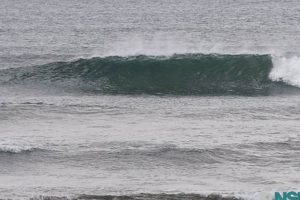 SPI Surf Report: Your South Padre Island Wave Forecast Learn to Surf & Skate: A Beginner's Step-by-Step Guide SPI Surf Report: Your South Padre Island Wave Forecast | Learn to Surf & Skate: A Beginner's Step-by-Step Guide