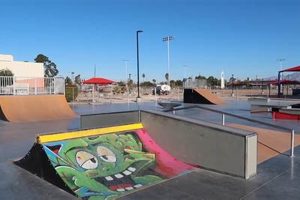 Your Local Skate Shop in Las Vegas, NV: [Shop Name] | Learn to Surf & Skate: A Beginner's Step-by-Step Guide