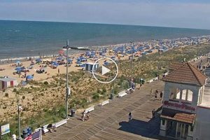 Rehoboth Beach Surf Cam: Live Waves + Beach Views Learn to Surf & Skate: A Beginner's Step-by-Step Guide Rehoboth Beach Surf Cam: Live Waves + Beach Views | Learn to Surf & Skate: A Beginner's Step-by-Step Guide