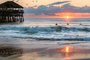 Your Cocoa Beach Surf Guide: Tips & Spots! Learn to Surf & Skate: A Beginner's Step-by-Step Guide Your Cocoa Beach Surf Guide: Tips & Spots! | Learn to Surf & Skate: A Beginner's Step-by-Step Guide
