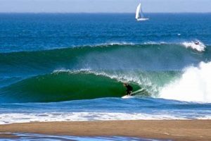 Surf's Up! Surfing San Francisco's Ocean Beach Guide Learn to Surf & Skate: A Beginner's Step-by-Step Guide Surf's Up! Surfing San Francisco's Ocean Beach Guide | Learn to Surf & Skate: A Beginner's Step-by-Step Guide