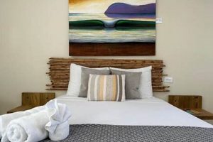 Your Zulu Surf Hotel Tamarindo: Best Waves & Stay! | Learn to Surf & Skate: A Beginner's Step-by-Step Guide