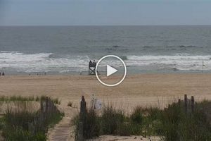 Live Surf City Webcam: See Beach Conditions Now! | Learn to Surf & Skate: A Beginner's Step-by-Step Guide