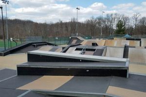 Best Skate Park Virginia Spots + Guides Learn to Surf & Skate: A Beginner's Step-by-Step Guide Best Skate Park Virginia Spots + Guides | Learn to Surf & Skate: A Beginner's Step-by-Step Guide