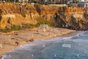 Calm Waters: No Surf Beach San Diego Guide & Tips Learn to Surf & Skate: A Beginner's Step-by-Step Guide Calm Waters: No Surf Beach San Diego Guide & Tips | Learn to Surf & Skate: A Beginner's Step-by-Step Guide