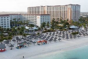 Best Aruba Restaurants Near Marriott Surf Club: Your Guide Learn to Surf & Skate: A Beginner's Step-by-Step Guide Best Aruba Restaurants Near Marriott Surf Club: Your Guide | Learn to Surf & Skate: A Beginner's Step-by-Step Guide
