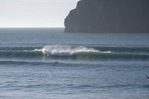 Pacific City Surf Report: Your Oregon Wave Guide Learn to Surf & Skate: A Beginner's Step-by-Step Guide Pacific City Surf Report: Your Oregon Wave Guide | Learn to Surf & Skate: A Beginner's Step-by-Step Guide