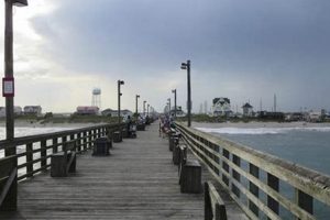 Plan Your Surf City Trip: TripAdvisor Guide & More! Learn to Surf & Skate: A Beginner's Step-by-Step Guide Plan Your Surf City Trip: TripAdvisor Guide & More! | Learn to Surf & Skate: A Beginner's Step-by-Step Guide