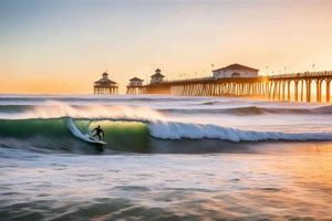 Your Guide: Beach Surf California Waves Await! Learn to Surf & Skate: A Beginner's Step-by-Step Guide Your Guide: Beach Surf California Waves Await! | Learn to Surf & Skate: A Beginner's Step-by-Step Guide