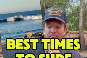 Your Guide: LA Surf Report Today & Forecast Learn to Surf & Skate: A Beginner's Step-by-Step Guide Your Guide: LA Surf Report Today & Forecast | Learn to Surf & Skate: A Beginner's Step-by-Step Guide