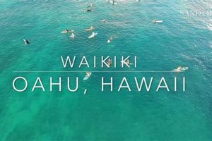 Your Waikiki Beach Surf Report: Today's Surf Beach Conditions Learn to Surf & Skate: A Beginner's Step-by-Step Guide Your Waikiki Beach Surf Report: Today's Surf Beach Conditions | Learn to Surf & Skate: A Beginner's Step-by-Step Guide