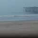 Pismo Beach Surf Cam: Watch Live & Current Conditions | Learn to Surf & Skate: A Beginner's Step-by-Step Guide