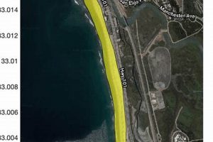 South Cardiff Beach Surf Report: [Conditions] & Forecasts | Learn to Surf & Skate: A Beginner's Step-by-Step Guide