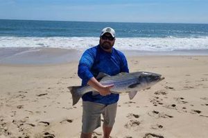 Get Your DE Surf Fishing Report: Delaware Fishing Spots! Learn to Surf & Skate: A Beginner's Step-by-Step Guide Get Your DE Surf Fishing Report: Delaware Fishing Spots! | Learn to Surf & Skate: A Beginner's Step-by-Step Guide