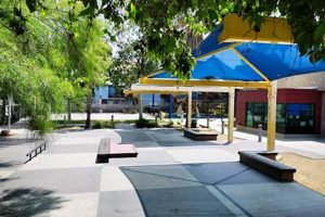 Visit Andres & Maria Cardenas Skate Park: A Local Gem! Learn to Surf & Skate: A Beginner's Step-by-Step Guide Visit Andres & Maria Cardenas Skate Park: A Local Gem! | Learn to Surf & Skate: A Beginner's Step-by-Step Guide