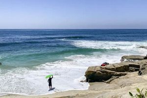 Your Guide to Windansea Beach Surfing Paradise! Learn to Surf & Skate: A Beginner's Step-by-Step Guide Your Guide to Windansea Beach Surfing Paradise! | Learn to Surf & Skate: A Beginner's Step-by-Step Guide