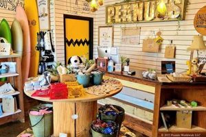 Your Guide: Snoopy Surf Shop Hawaii - Boards & Aloha! | Learn to Surf & Skate: A Beginner's Step-by-Step Guide