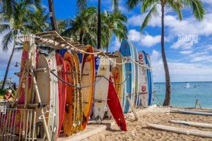 Your Waikiki Surf Shop: Rentals, Lessons & Gear! Learn to Surf & Skate: A Beginner's Step-by-Step Guide Your Waikiki Surf Shop: Rentals, Lessons & Gear! | Learn to Surf & Skate: A Beginner's Step-by-Step Guide