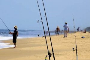 Your Guide: Surf Fishing Virginia Beach Tips & Spots Learn to Surf & Skate: A Beginner's Step-by-Step Guide Your Guide: Surf Fishing Virginia Beach Tips & Spots | Learn to Surf & Skate: A Beginner's Step-by-Step Guide