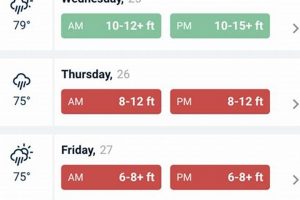 Ocean City NJ Surf Captain: Local Lessons & More Learn to Surf & Skate: A Beginner's Step-by-Step Guide Ocean City NJ Surf Captain: Local Lessons & More | Learn to Surf & Skate: A Beginner's Step-by-Step Guide