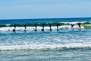 Your Guide: Bunger Surf Cam Views & Conditions Now! | Learn to Surf & Skate: A Beginner's Step-by-Step Guide