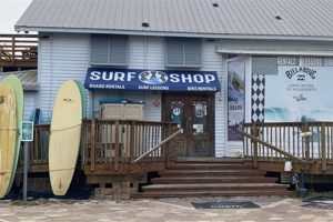 Your Guide: Pit Surf Shop + Gear & Local Spots! Learn to Surf & Skate: A Beginner's Step-by-Step Guide Your Guide: Pit Surf Shop + Gear & Local Spots! | Learn to Surf & Skate: A Beginner's Step-by-Step Guide