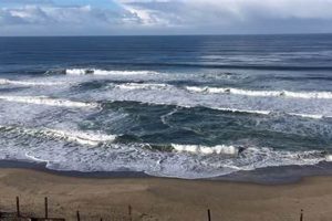 Manresa Surf Report: Local Surf Conditions Today Learn to Surf & Skate: A Beginner's Step-by-Step Guide Manresa Surf Report: Local Surf Conditions Today | Learn to Surf & Skate: A Beginner's Step-by-Step Guide