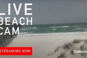 Live Pensacola Surf Cam: Beach Conditions & Updates Learn to Surf & Skate: A Beginner's Step-by-Step Guide Live Pensacola Surf Cam: Beach Conditions & Updates | Learn to Surf & Skate: A Beginner's Step-by-Step Guide
