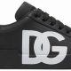 Buy DG Skate Shoes Now! Durable Skate Footwear | Learn to Surf & Skate: A Beginner's Step-by-Step Guide