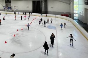 Achieve Pro Skate Ice Rink Dreams: Gear & Tips Learn to Surf & Skate: A Beginner's Step-by-Step Guide Achieve Pro Skate Ice Rink Dreams: Gear & Tips | Learn to Surf & Skate: A Beginner's Step-by-Step Guide