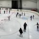 Achieve Pro Skate Ice Rink Dreams: Gear & Tips | Learn to Surf & Skate: A Beginner's Step-by-Step Guide