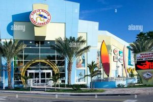 Your Guide: Cocoa Beach Surf Store & Gear Learn to Surf & Skate: A Beginner's Step-by-Step Guide Your Guide: Cocoa Beach Surf Store & Gear | Learn to Surf & Skate: A Beginner's Step-by-Step Guide