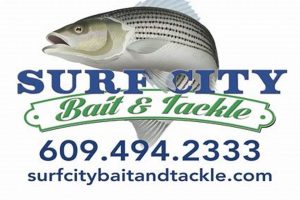 Your Surf City Bait & Tackle Shop: [Shop Name] Gear & More! | Learn to Surf & Skate: A Beginner's Step-by-Step Guide