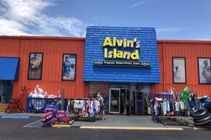 Your Alvin's Surf Shop | Boards, Gear & More! | Learn to Surf & Skate: A Beginner's Step-by-Step Guide