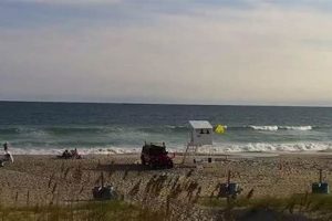 Your Guide: Surf Report Wrightsville Beach, NC +Tips | Learn to Surf & Skate: A Beginner's Step-by-Step Guide