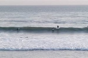 VA Beach Surf Forecast: Waves Near You [Updated] | Learn to Surf & Skate: A Beginner's Step-by-Step Guide